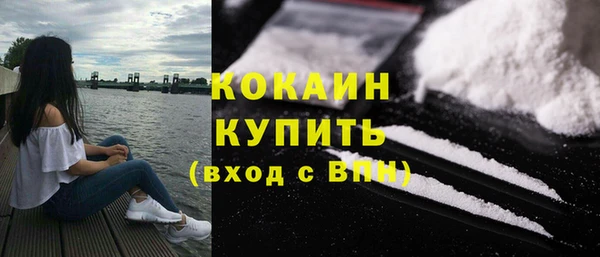 МДПВ Богородск