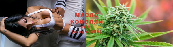 гидра Богданович