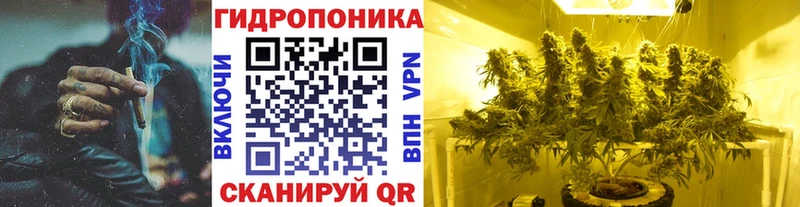 ОМГ ОМГ вход  купить закладку  Невель  Бошки Шишки VHQ 